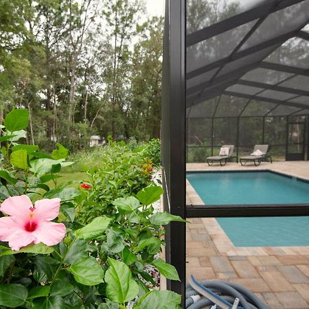 Pet-Friendly, Heated Pool, Close To Everything 3 Bedroom Home ดันเนลลอน ภายนอก รูปภาพ