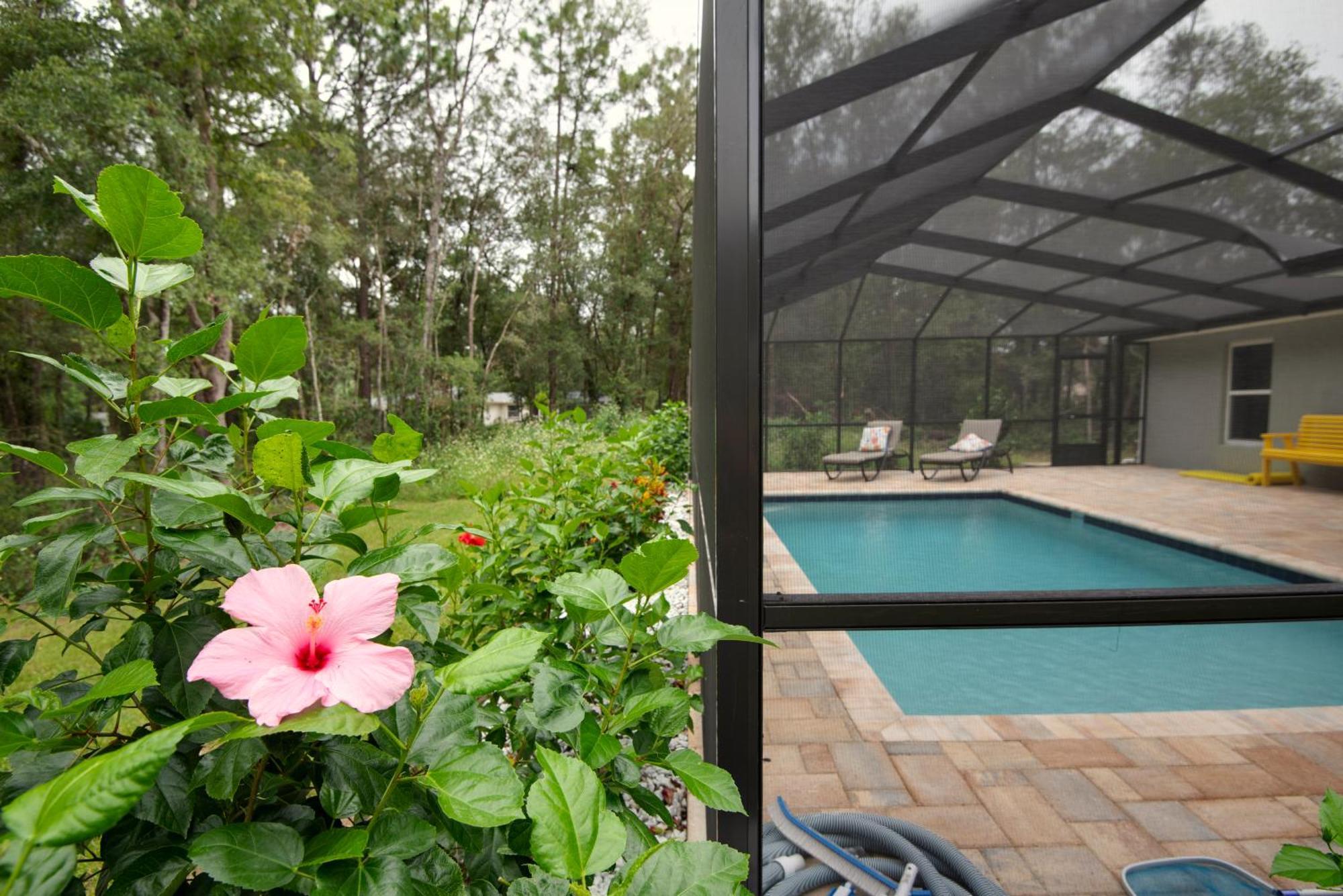 Pet-Friendly, Heated Pool, Close To Everything 3 Bedroom Home ดันเนลลอน ภายนอก รูปภาพ